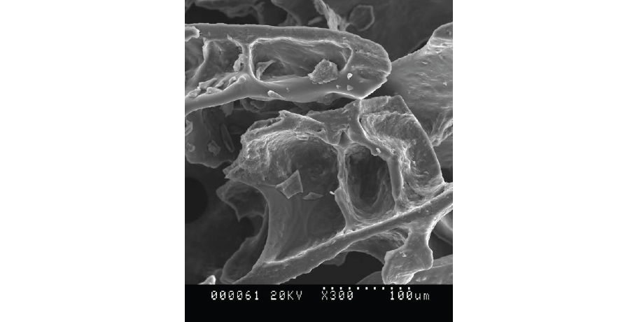 Freeze-Drying oder Gefriertrocknung: Dabei wird das Püree schnell eingefroren